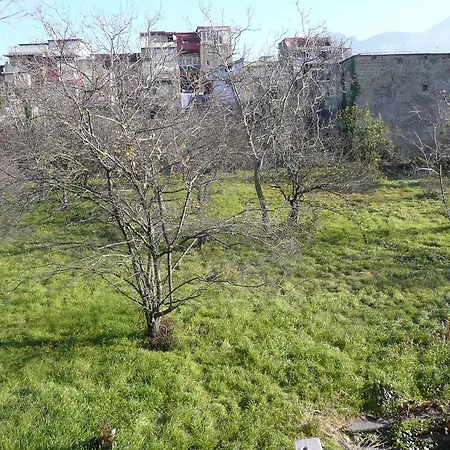 Herculis Domus Bed & Breakfast 3*