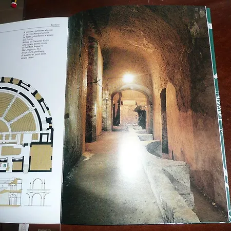 Herculis Domus Bed & Breakfast