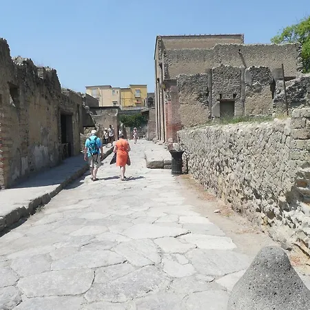 Herculis Domus Bed & Breakfast